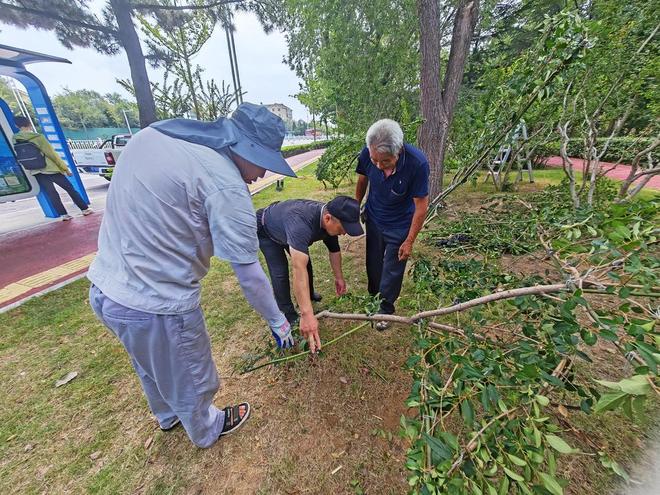 烟台市园林建设养护中
